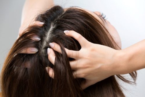 Le massage du cuir chevelu fait-il pousser les cheveux ?